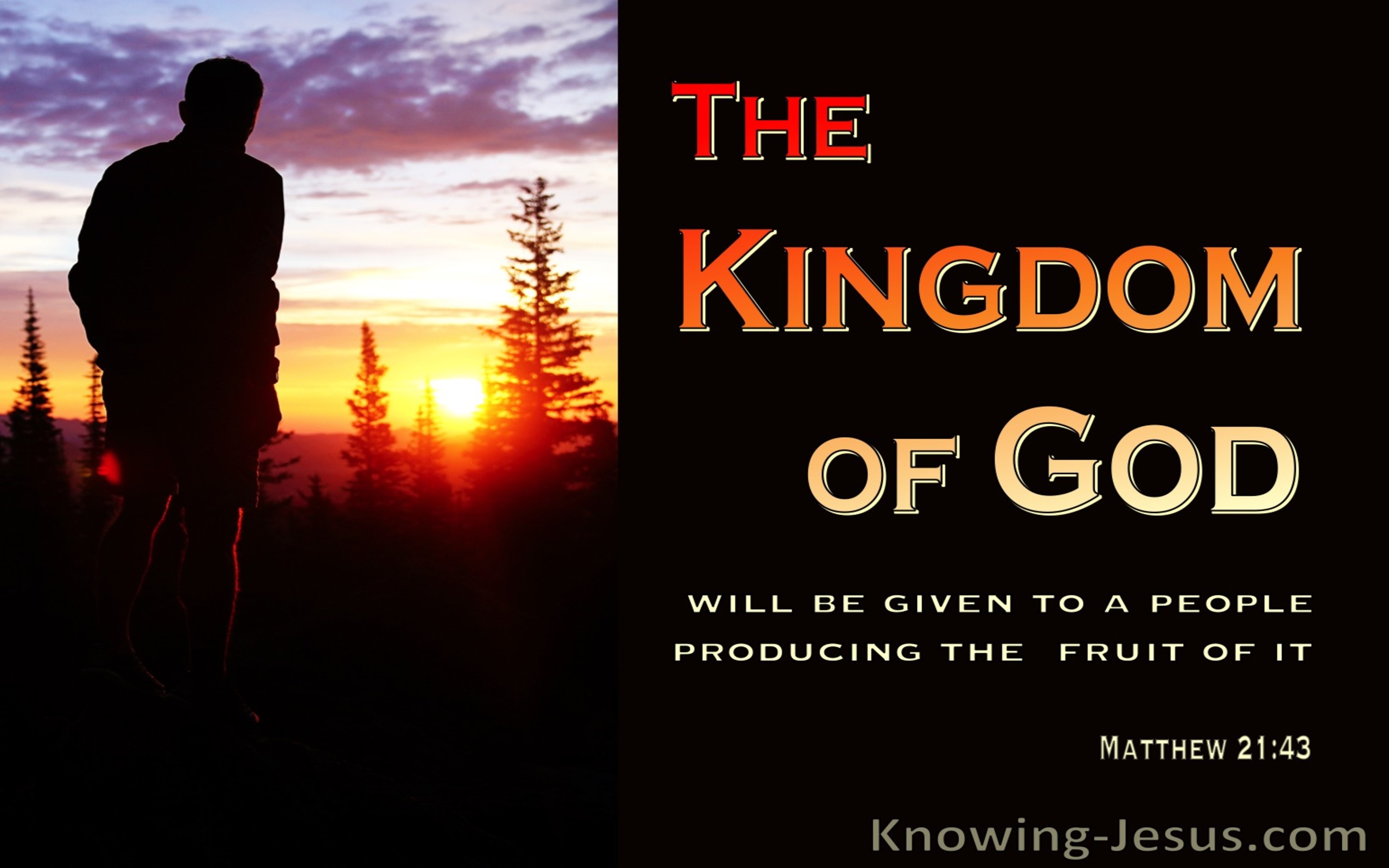 Matthew  21-43 The Kingdom Will Be Taken And Given To Those Producing Fruit (black)